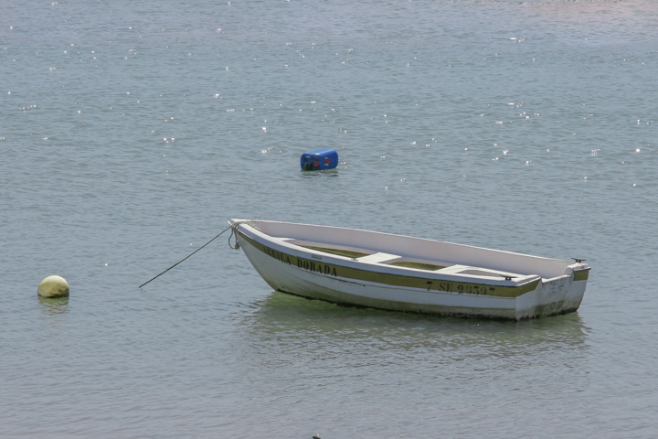 Guenter_105.jpg