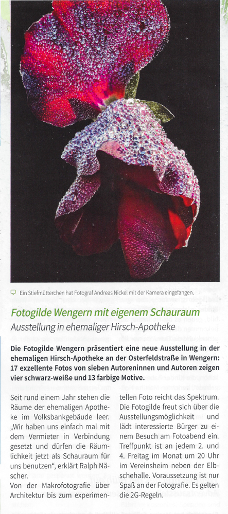 Presse_2021/2021_12_Bommeraner.jpg