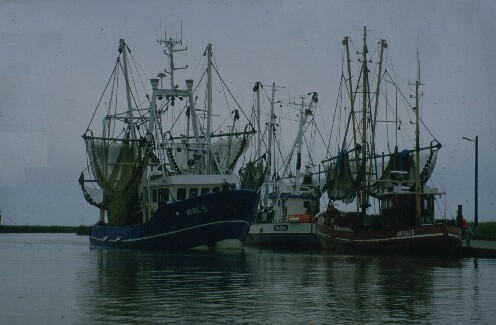 hauga_001.jpg