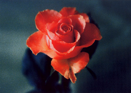 PL_P01.jpg