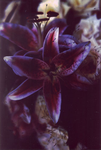 US_P02.jpg