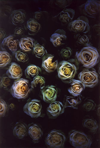 US_P03.jpg