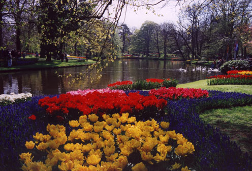 WK_P01.jpg