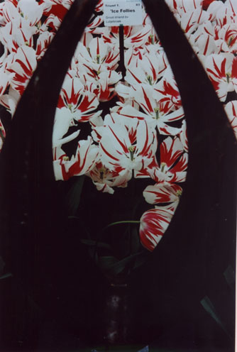 WK_P04.jpg