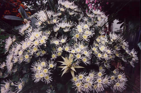 WK_P06.jpg