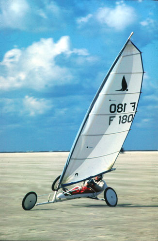 FG_D04.jpg
