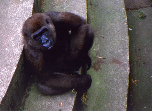 BU_P02.jpg
