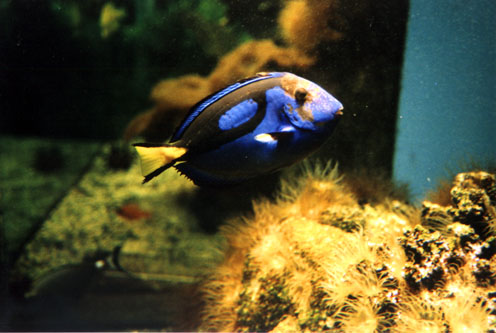 KH-B_P06.jpg