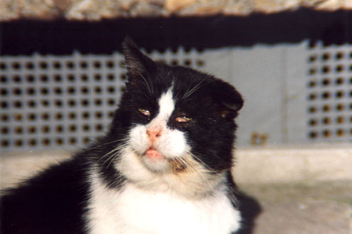 KH-B_P07.jpg