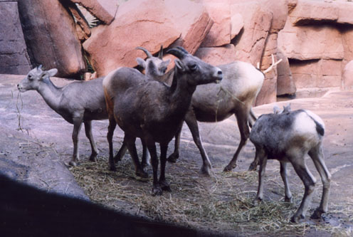 PL_P01.jpg