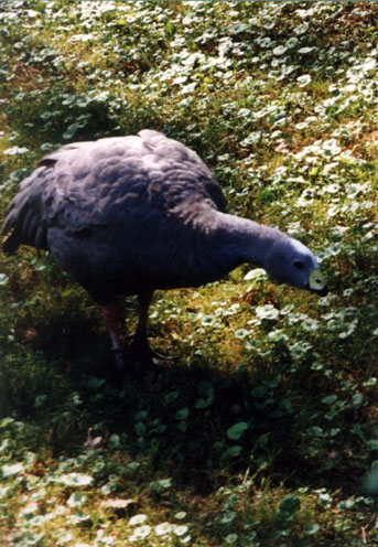 PL_P04.jpg