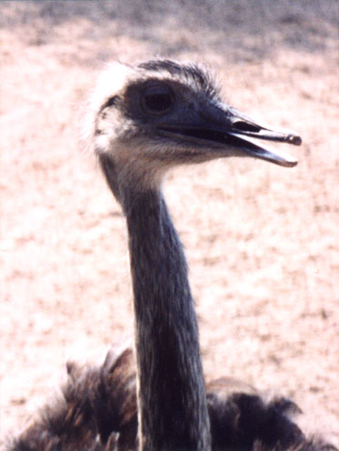 PL_P07.jpg