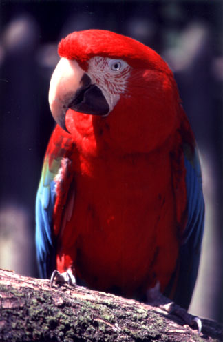 SS_P04.jpg