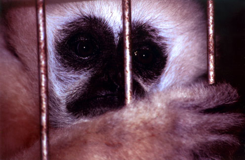 SS_P06.jpg