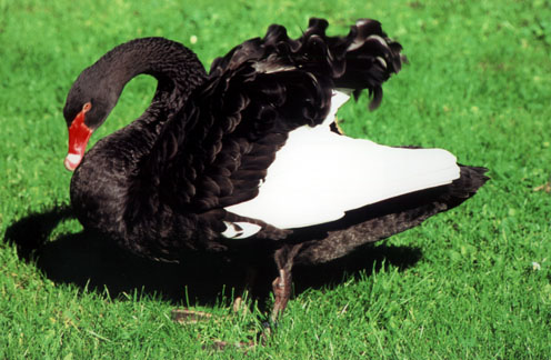 WF_P05.jpg