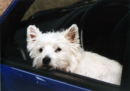 WK_P07.jpg