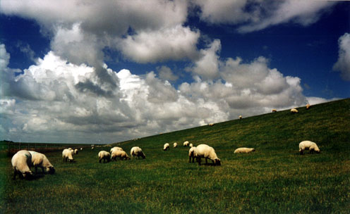 WK_P08.jpg