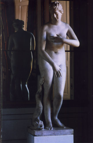 WF_P01.jpg