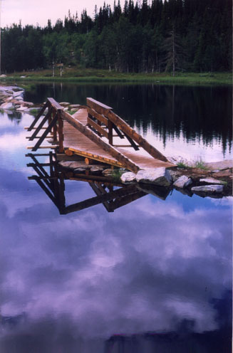 WF_P02.jpg
