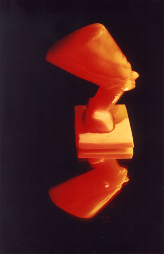 WF_P03.jpg