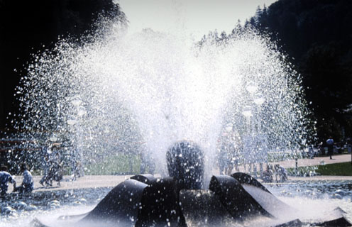 WF_C06.jpg