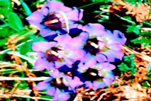 VM_006.jpg