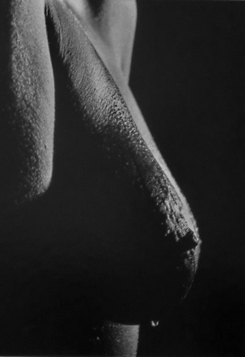 02_SW_014.jpg