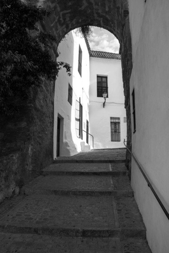 02_SW_016.jpg