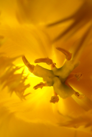 02_Mono_026.jpg