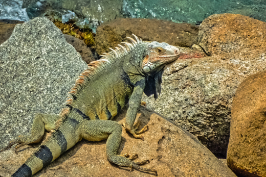 02_Tiere_14.jpg