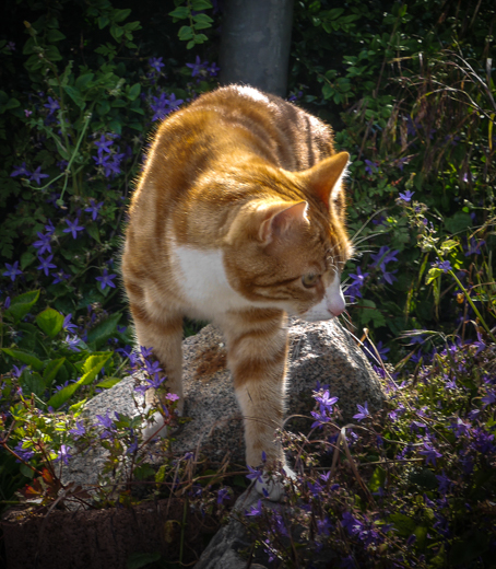 02_Tiere_25.jpg