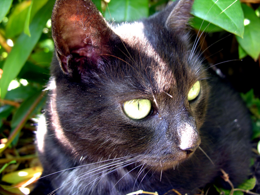 02_Tiere_33.jpg