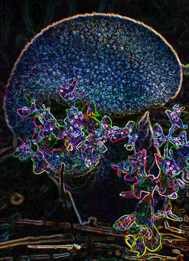 01_Abstrakt_02.jpg