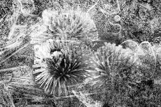 01_Abstrakt_06.jpg