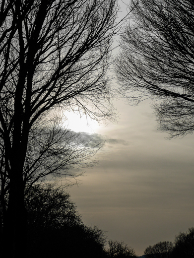 01_Gegenlicht_03.jpg