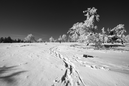01_Winter_04.jpg