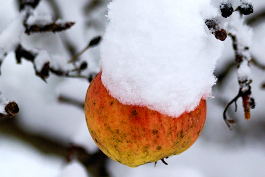 01_Winter_20.jpg