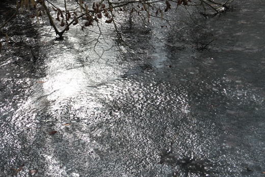 01_Winter_23.jpg