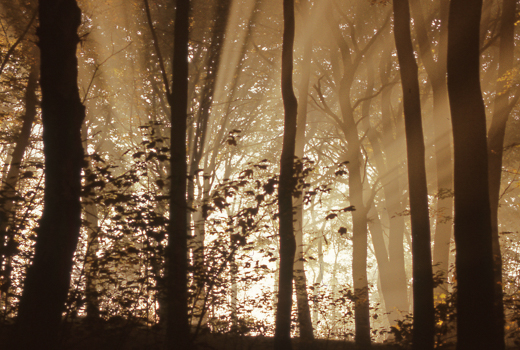 04_Herbst_10.jpg