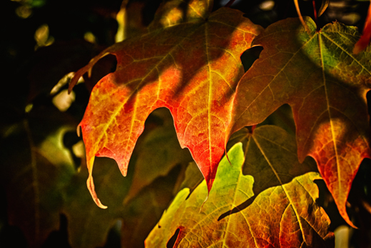 04_Herbst_16.jpg
