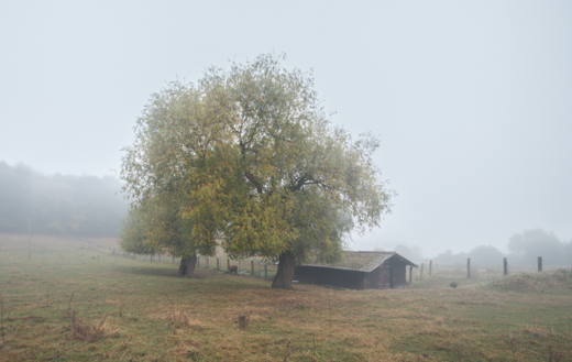 04_Herbst_18.jpg