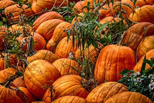 04_Herbst_19.jpg