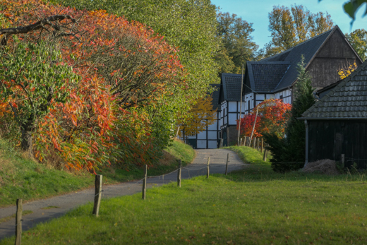 04_Herbst_20.jpg