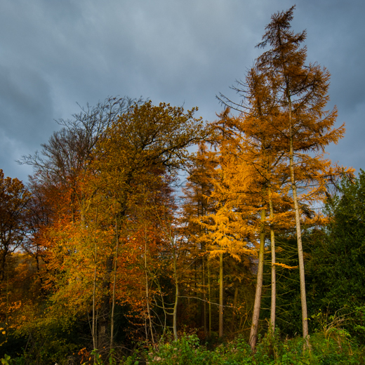 04_Herbst_23.jpg