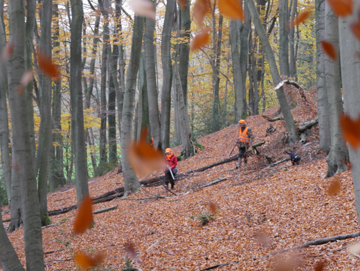04_Herbst_25.jpg