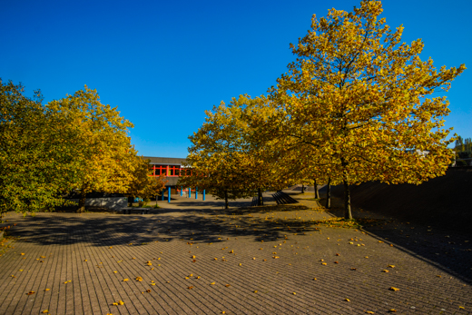 04_Herbst_26.jpg