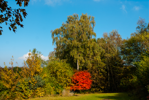 04_Herbst_27.jpg