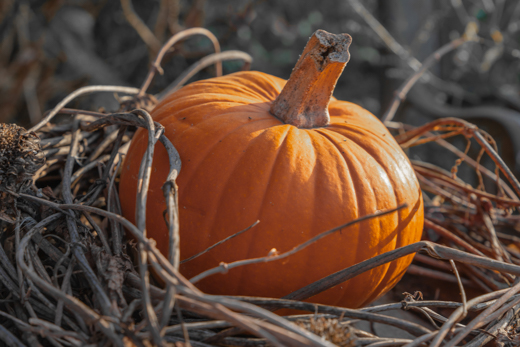 04_Herbst_29.jpg