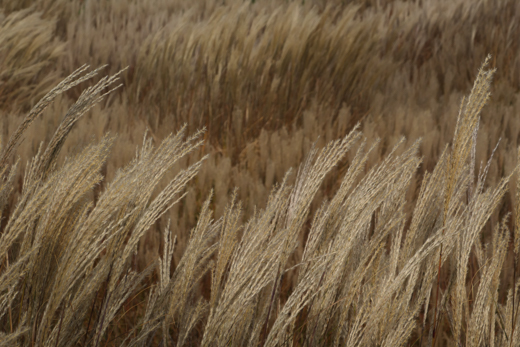 04_Herbst_31.jpg