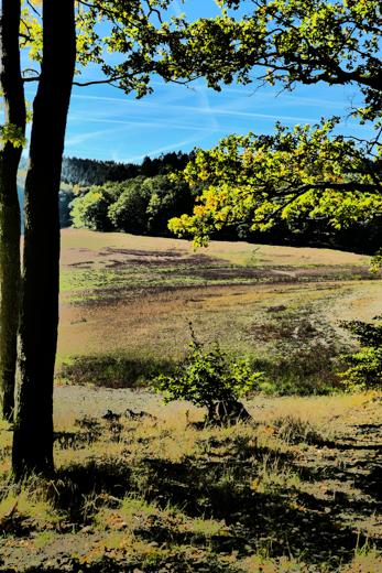 04_Herbst_32.jpg